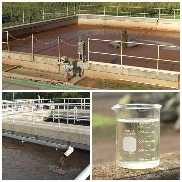 Wastewater Treatment Plant Management
